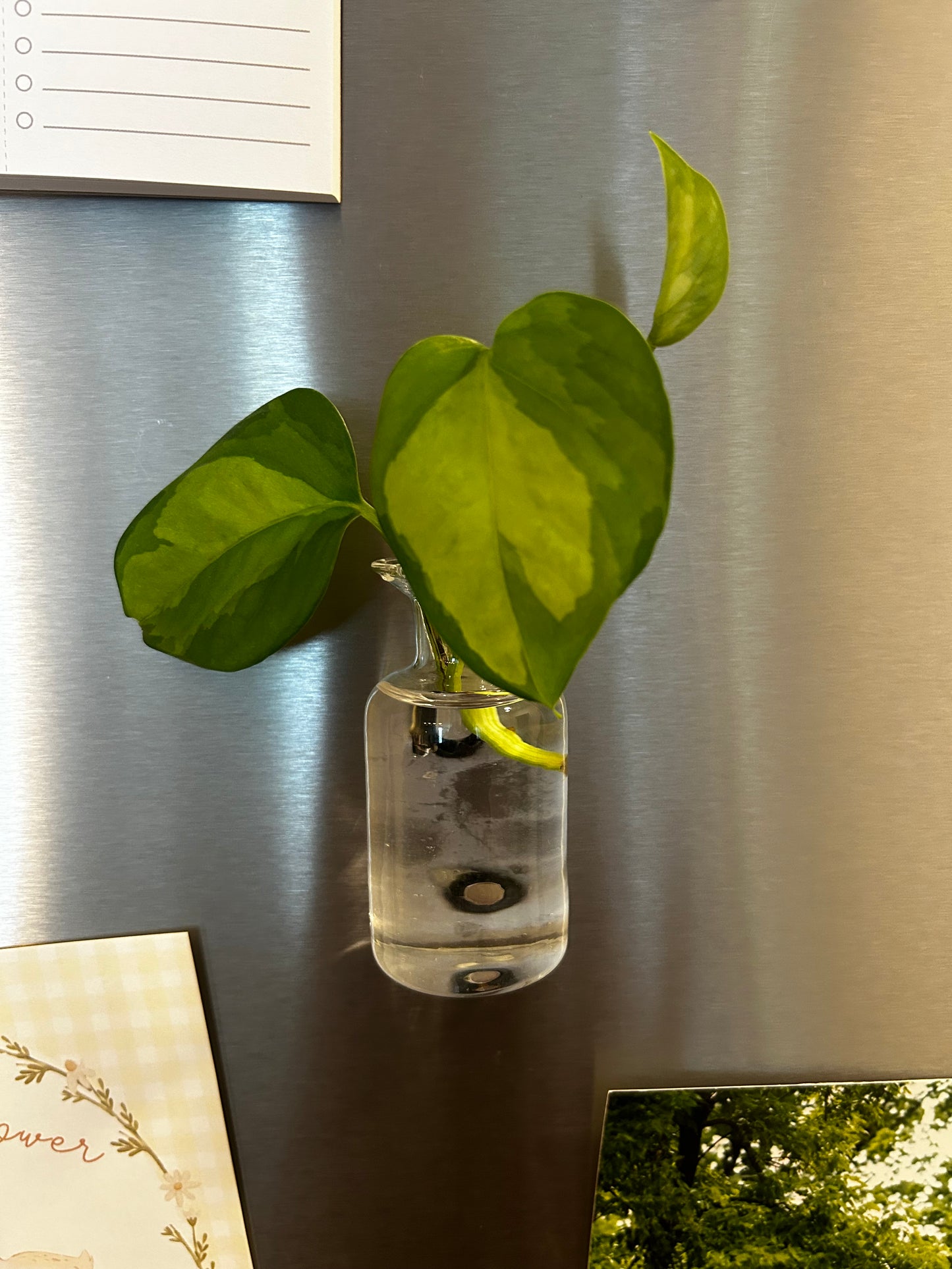 Magnetic Bud Vase and Frame